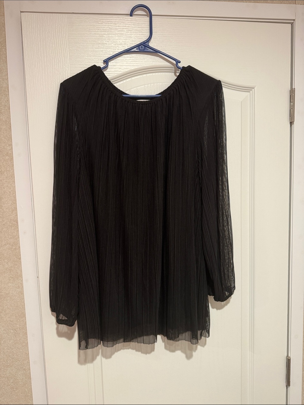 Black Pleated Sheer Long Sleeve Blouse